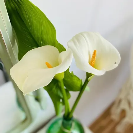 Σπίτι διακοπών Bodega Sibeiro Chantada