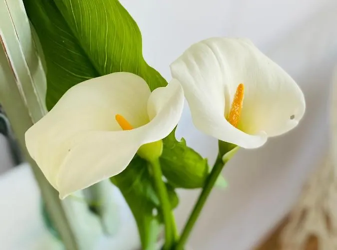 Semesterbostad Bodega Sibeiro Chantada